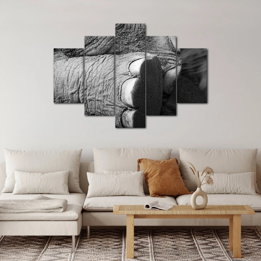Tablou - Picior de elefant (150x105 cm)