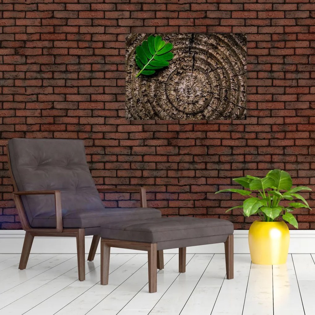 Tablou pe sticlă cu frunză pe trunchi de copac (70x50 cm)