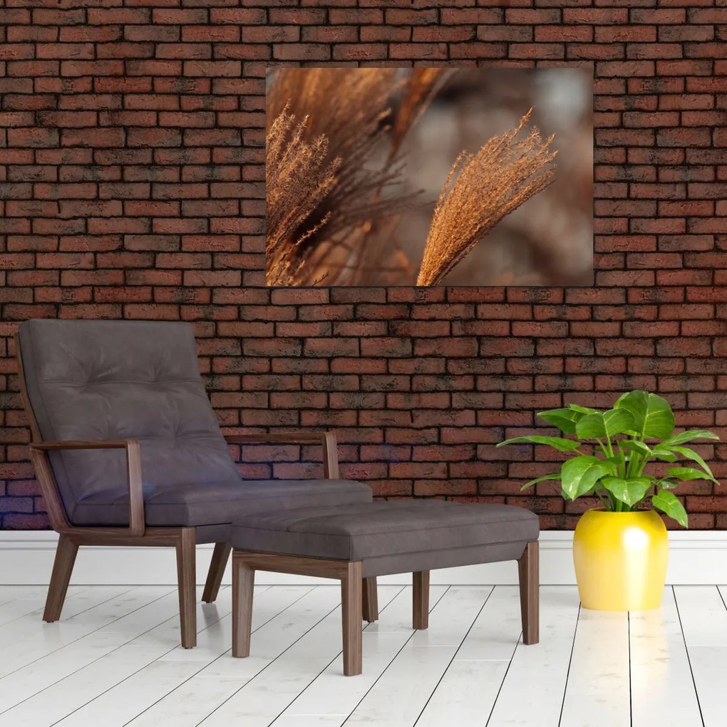 Tablou - Cortaderie (90x60 cm)