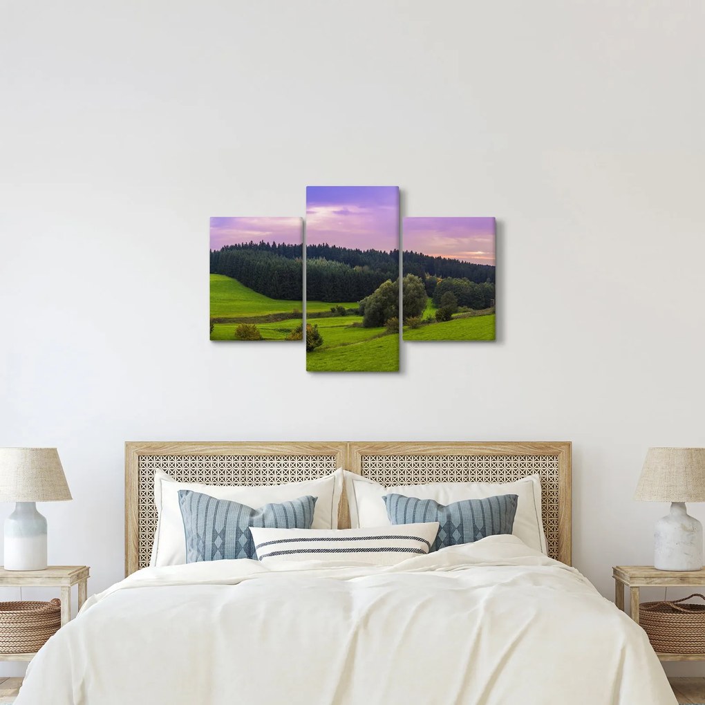 Tablou cu lunca (90x60 cm)