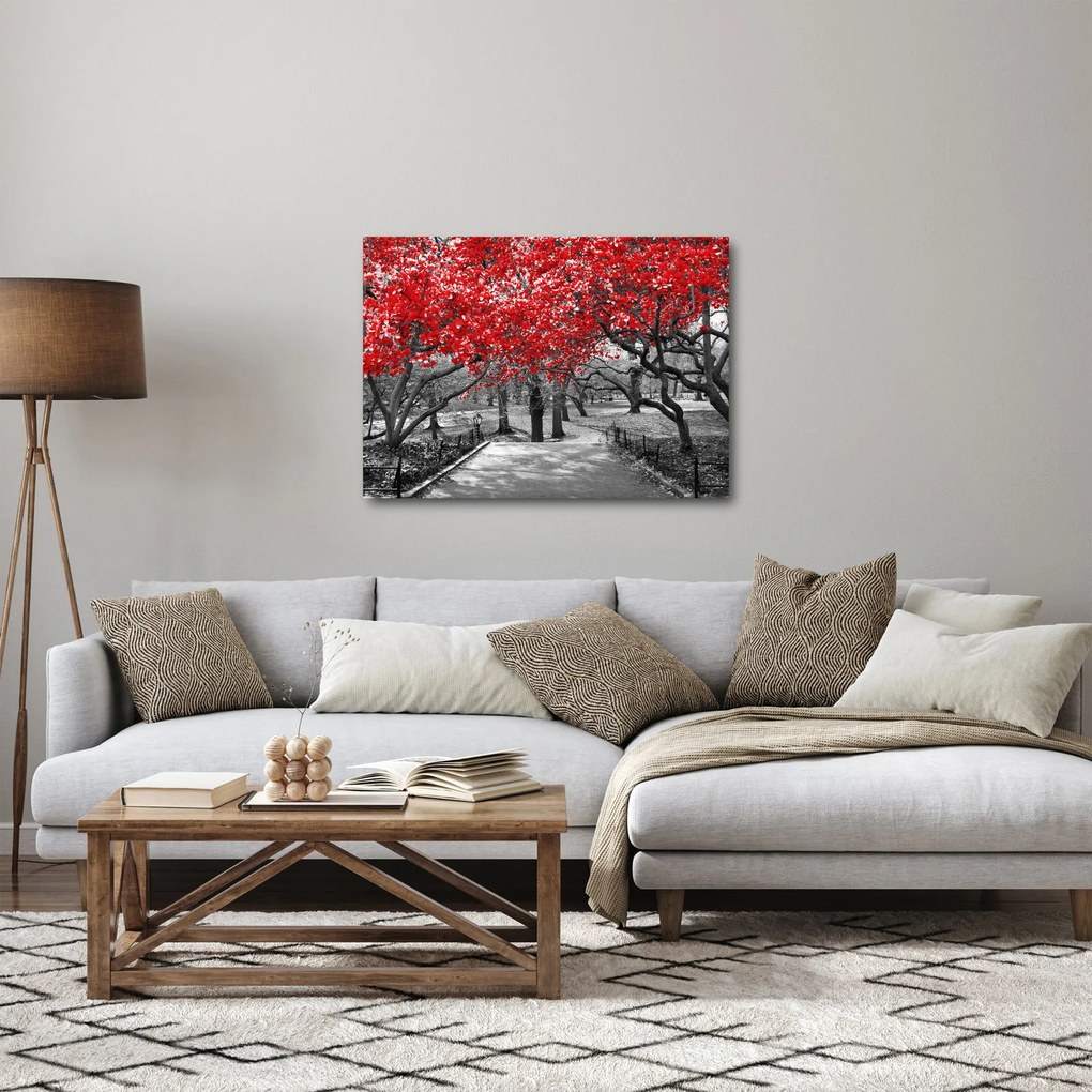 Tablou - Copaci roșii, Central Park, New York (70x50 cm)