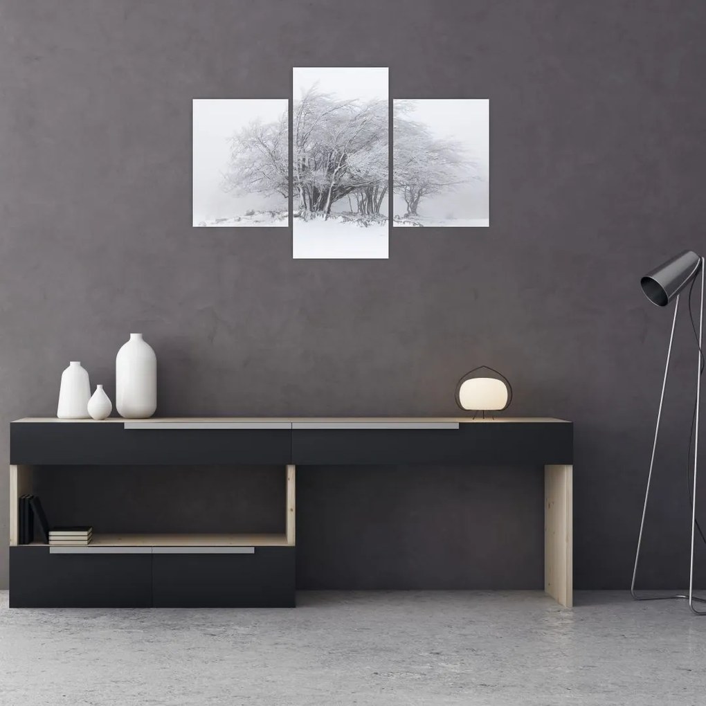 Tablou - Iarnă albă (90x60 cm)