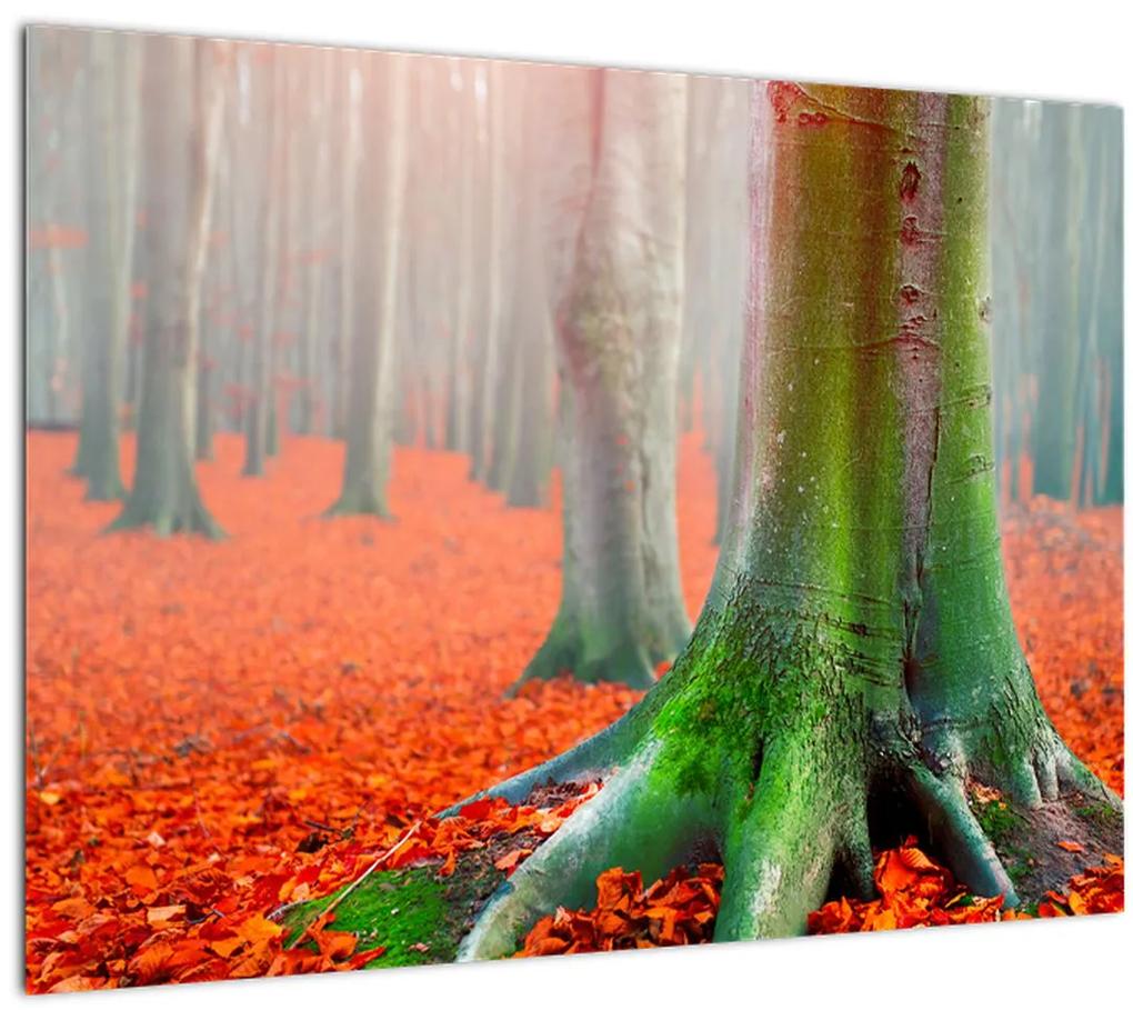 Tablou cu pomi (70x50 cm), în 40 de alte dimensiuni noi