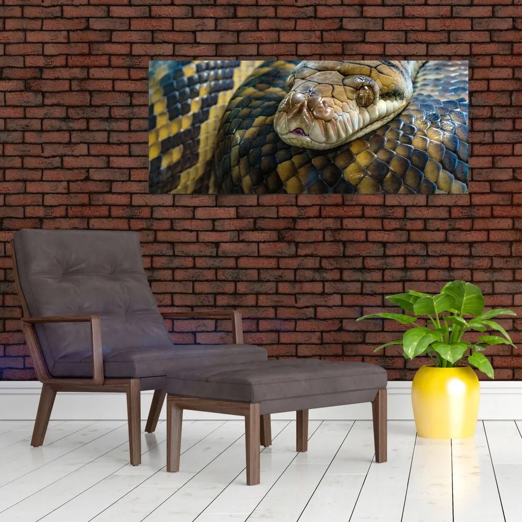 Tablou - Piton (120x50 cm)