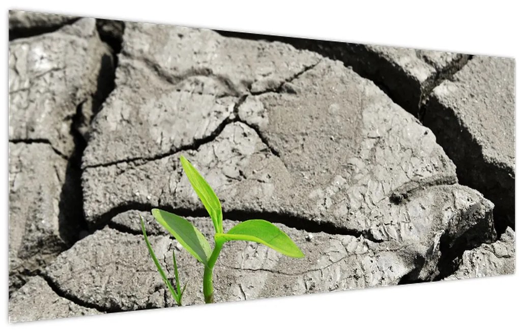 Tablou - Fisuri (120x50 cm)