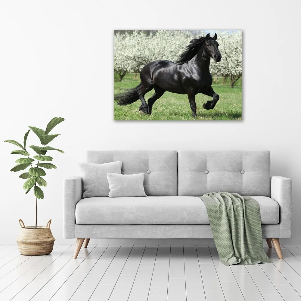 Tablou canvas Flori cal negru
