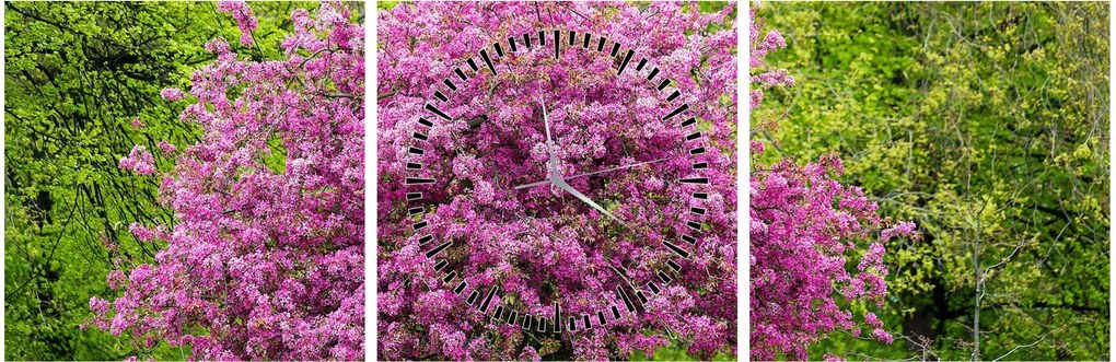 Tablou cu pom înflorit pe luncă (cu ceas) (90x30 cm)
