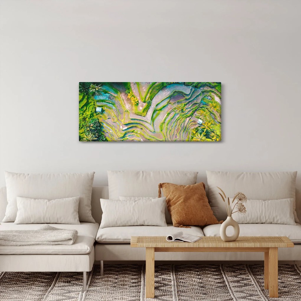 Tablou cu lanuri de orez din privire de sus (120x50 cm)