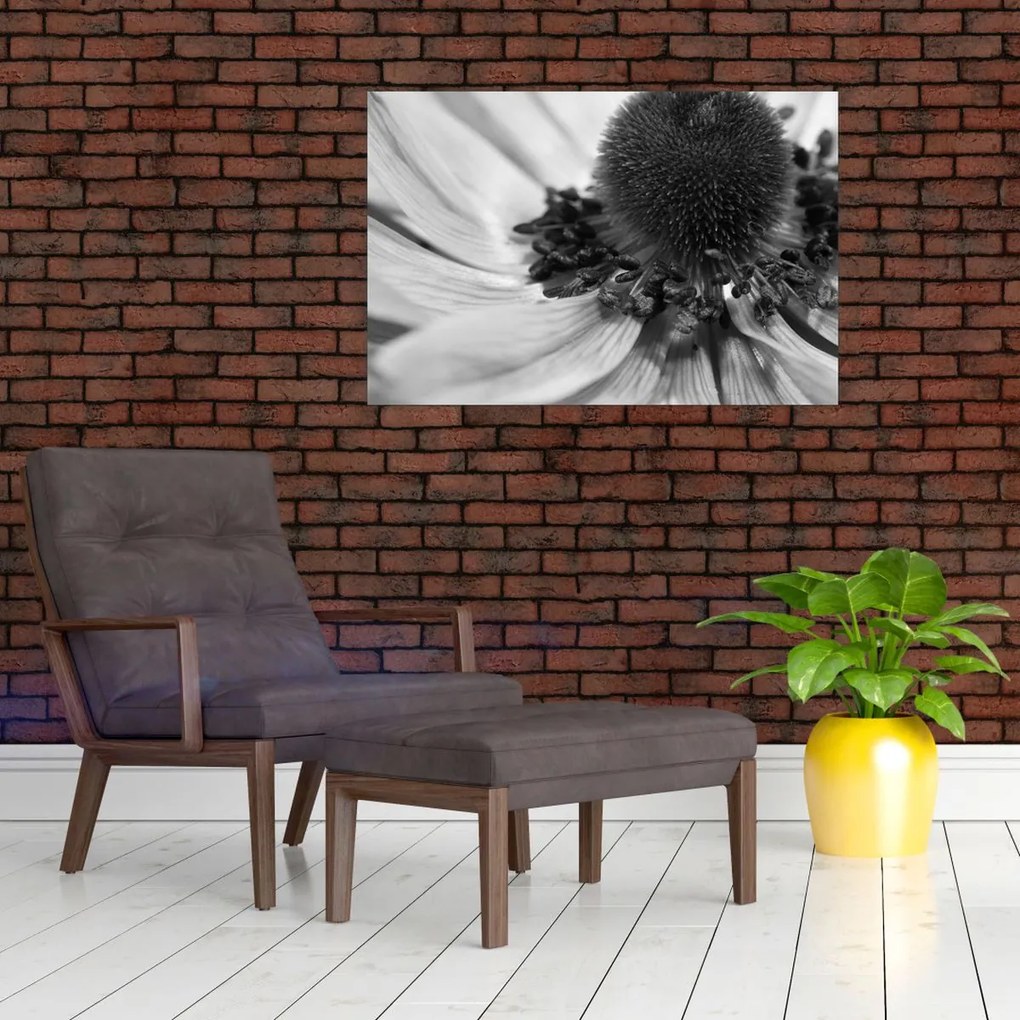 Tablou - Floare în alb-negru (90x60 cm)
