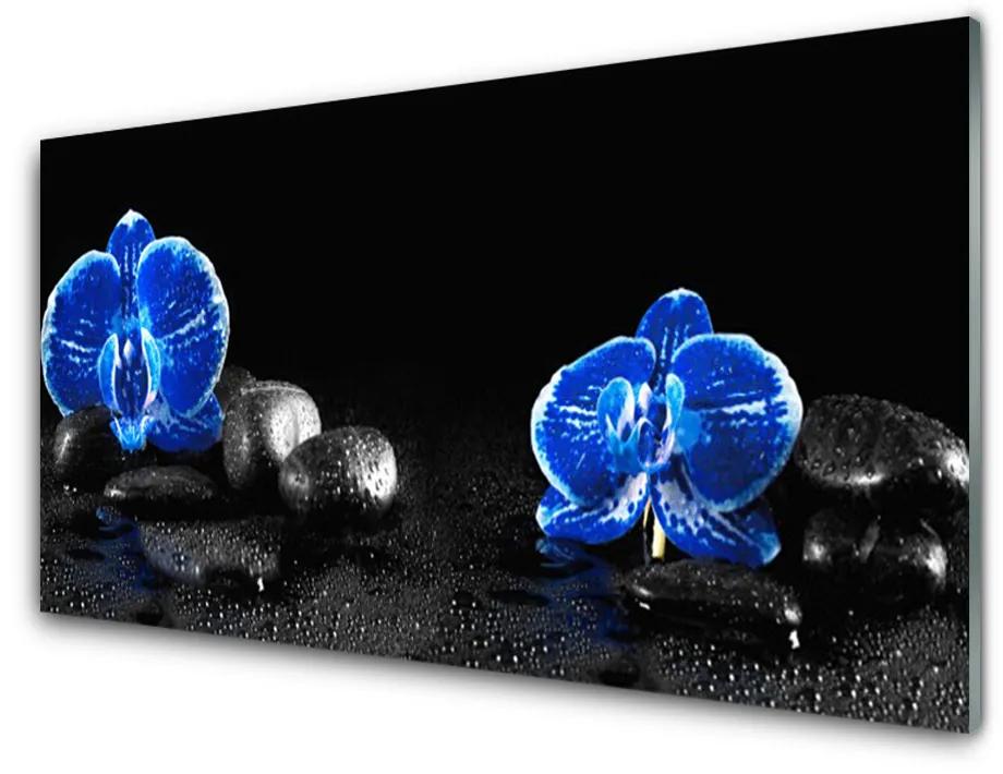 Tablouri acrilice Pietre florale flori albastru negru
