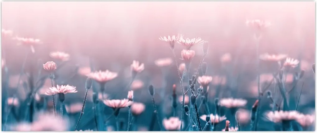 Tablou - Plante din pădure (120x50 cm)
