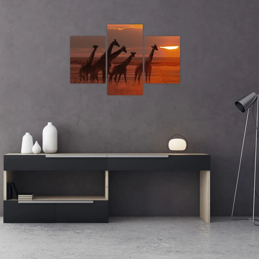 Tablou - Girafe în savana africană (90x60 cm)