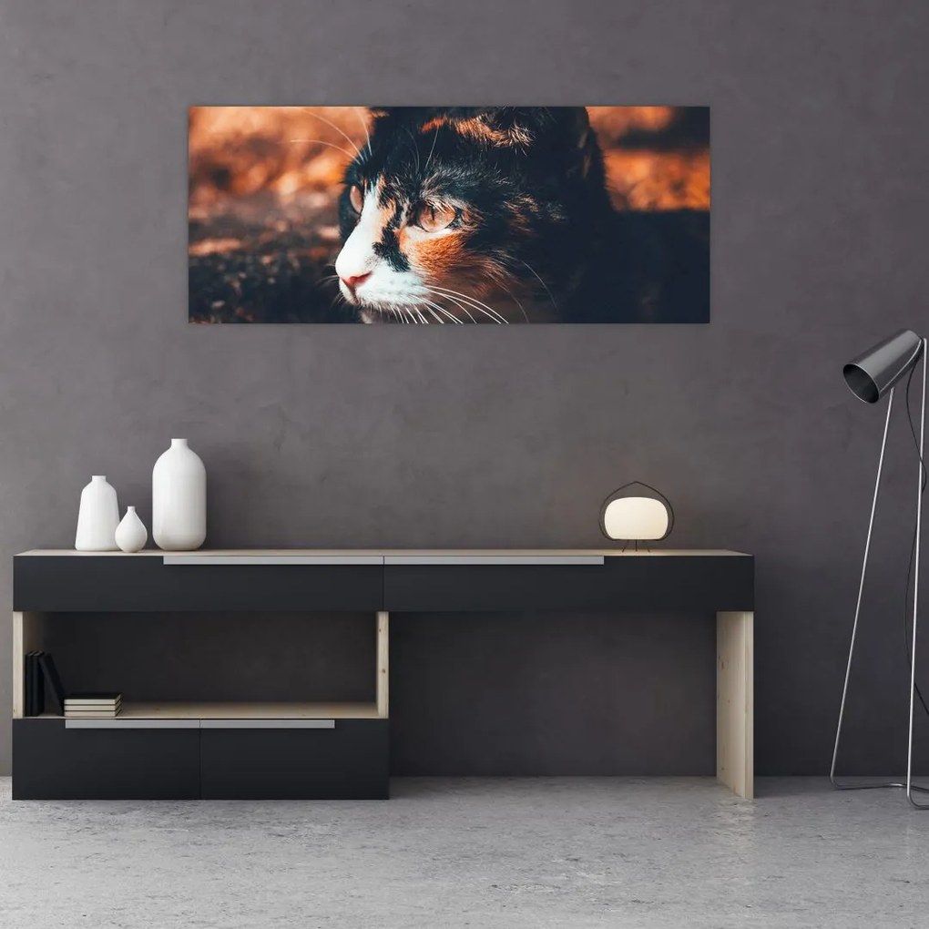 Tablou - Privirea pisicii (120x50 cm)