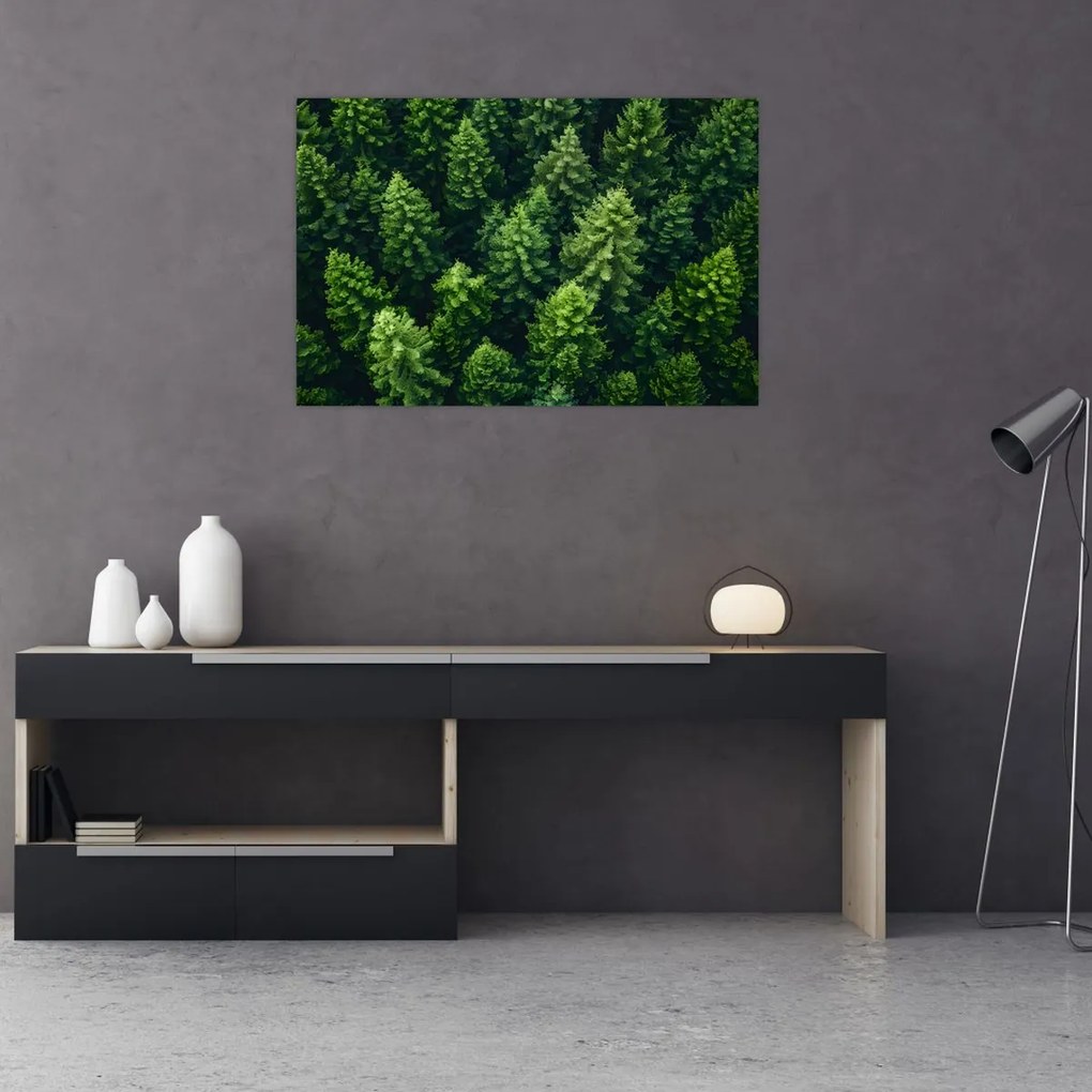 Tablou - Pădure (90x60 cm)