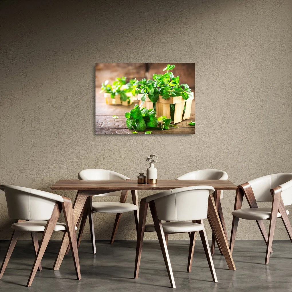 Tablou pe sticlă cu menta proaspătă (70x50 cm)