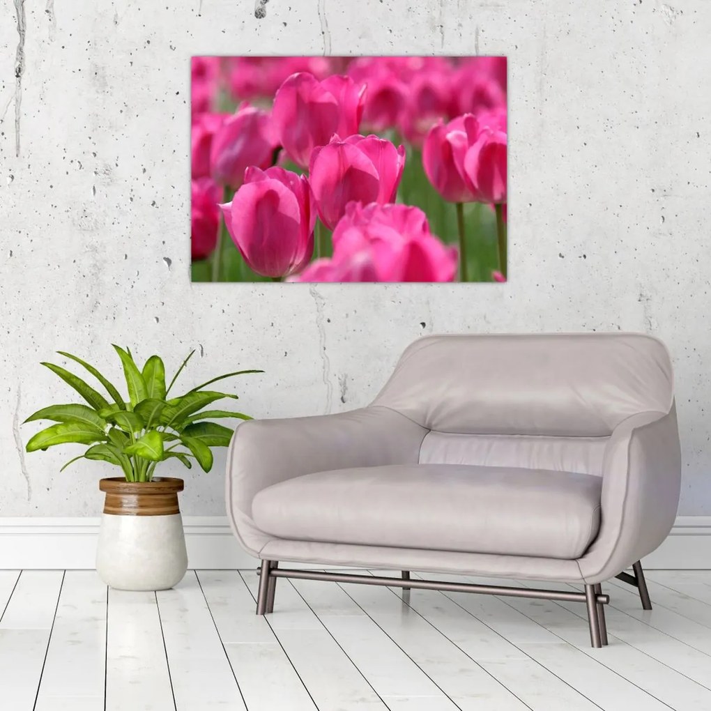 Tablou - Lalele roz (70x50 cm)