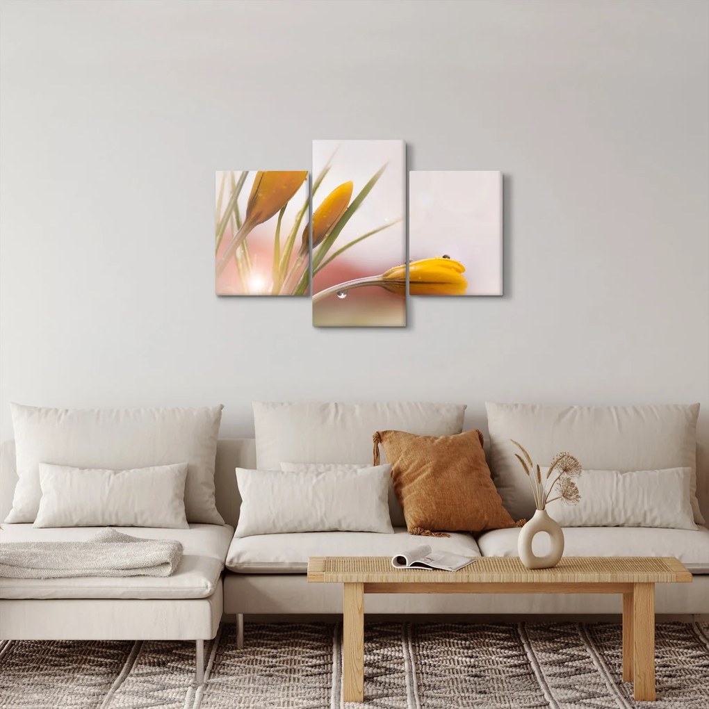 Tablou - Flori de primăvară (90x60 cm)