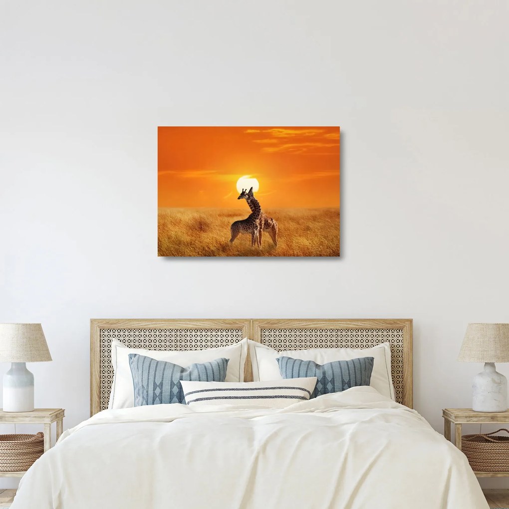 Tablou pe sticlă - Girafe în Parcul Național Serengeti (70x50 cm)