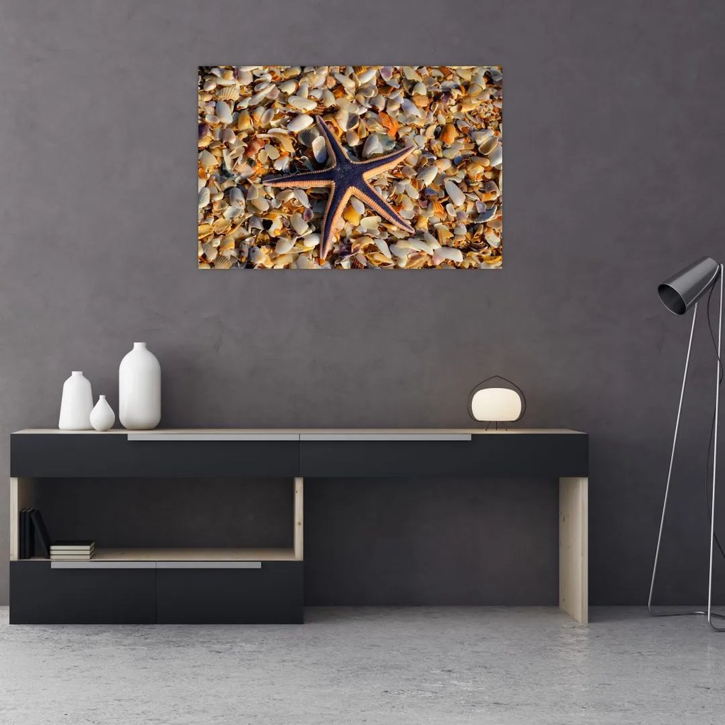 Tablou cu stea de mare (90x60 cm)