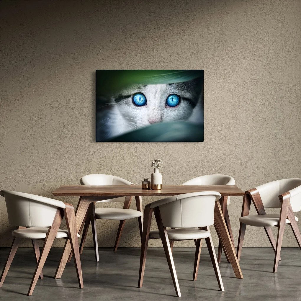 Tablou cu pisica (90x60 cm)