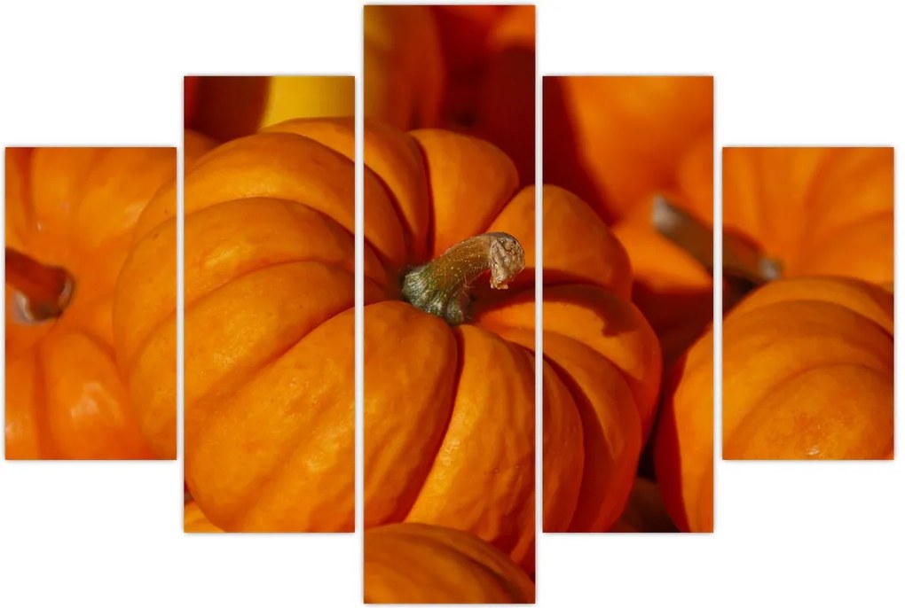 Tablou - Dovleci mari (150x105 cm)