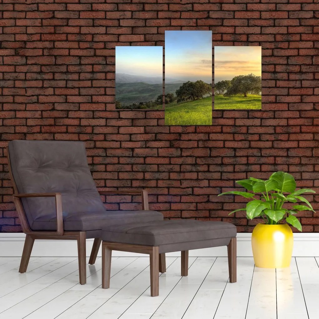 Tablou - Privire de pe deal (90x60 cm)