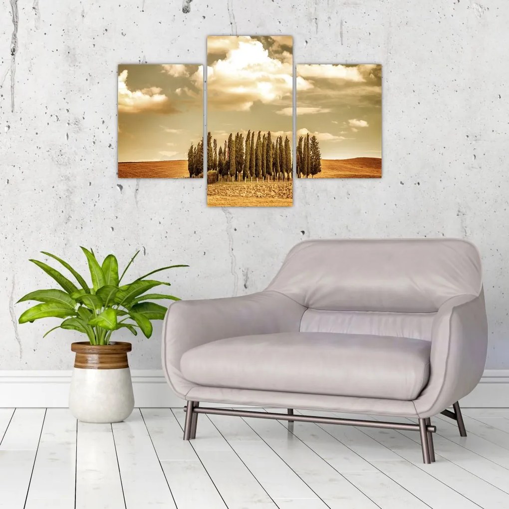 Tablou cu luncă (90x60 cm)