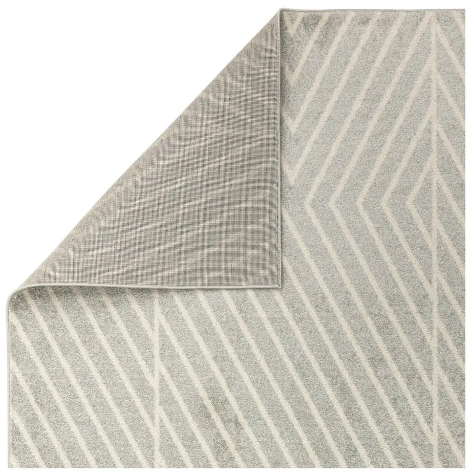 Covor gri deschis 120x170 cm Muse – Asiatic Carpets