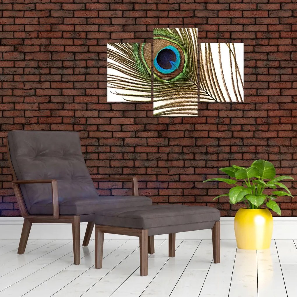 Tablou cu pene de păun (90x60 cm)