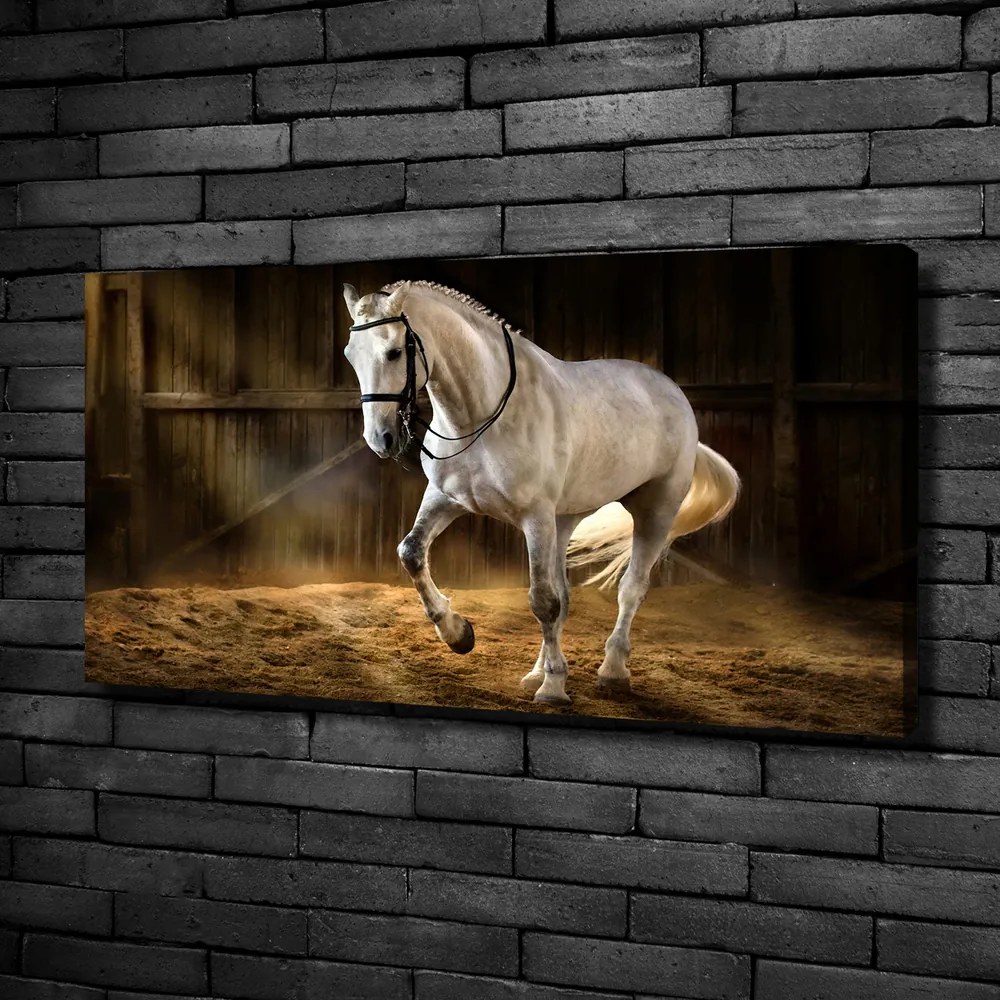 Imprimare tablou canvas Cal alb în grajd
