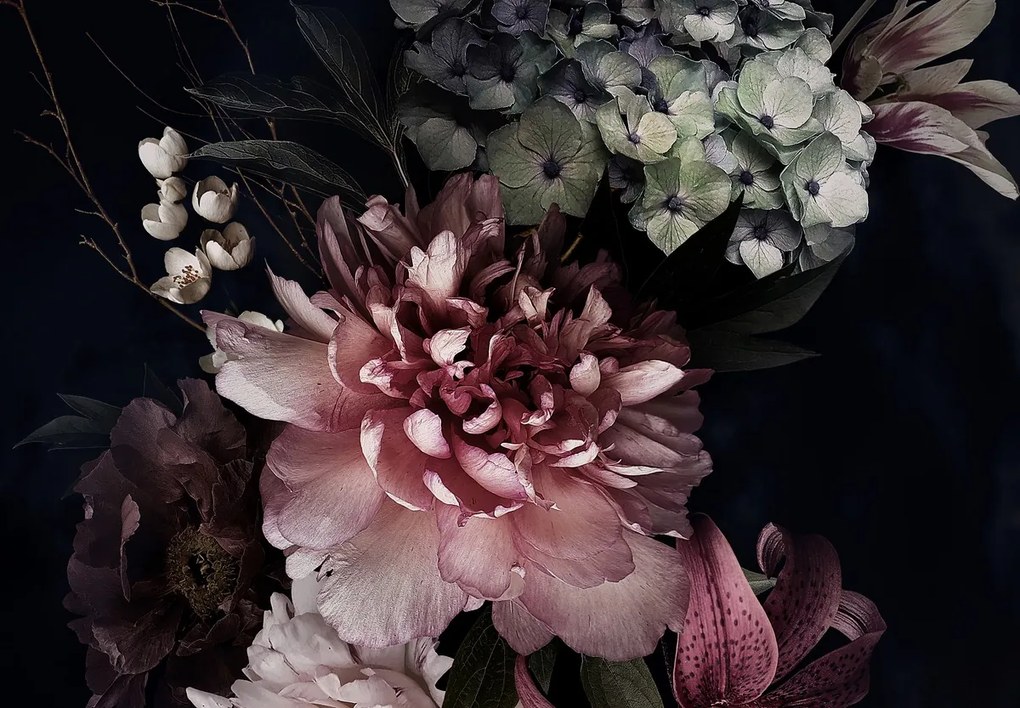 Fototapet - Flori pe fond negru (147x102 cm)