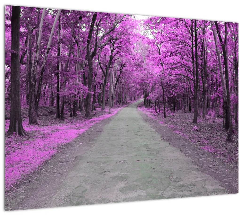 Tablou - drum prin parc (70x50 cm)