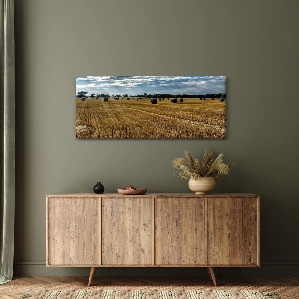Tablou cu câmp recoltat (120x50 cm)