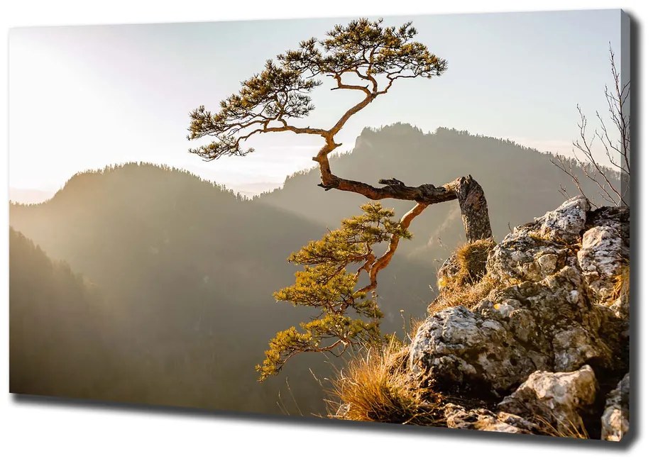 Imprimare tablou canvas Pieniny sokolica