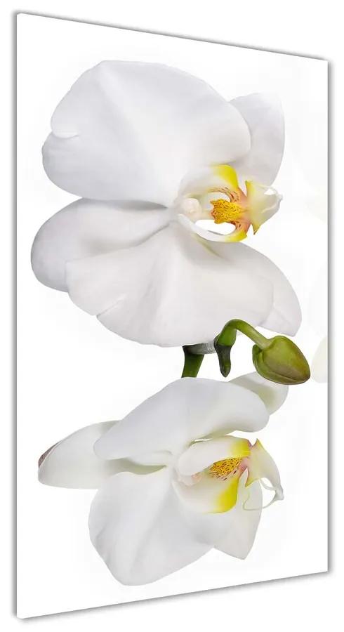 Imagine de sticlă Alb orhidee