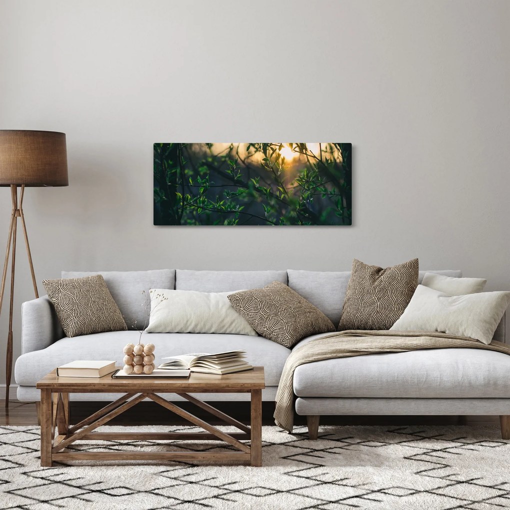 Tablou - Soarele strălucind printre crengile copacilor (120x50 cm)