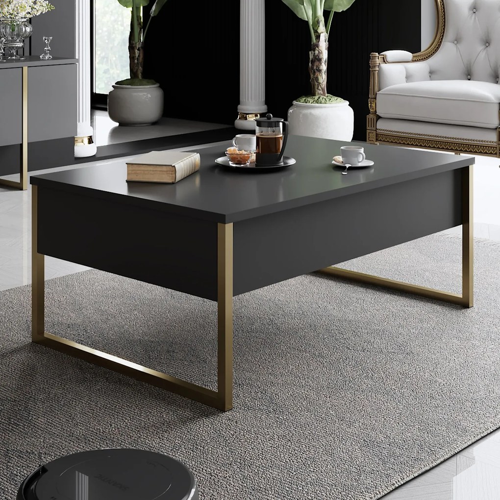 Masă de cafea Luxury (antracit). 1062895