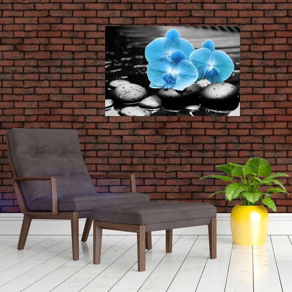 Tablou - Orhidee albastră (90x60 cm)