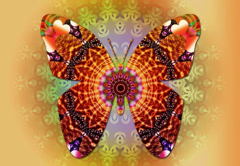 Fototapet - Fluture etno (147x102 cm)