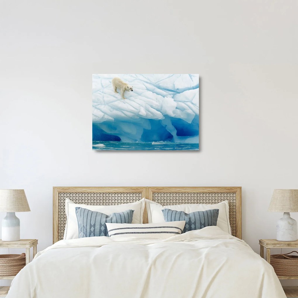 Tablou pe sticlă - Ursul polar (70x50 cm)