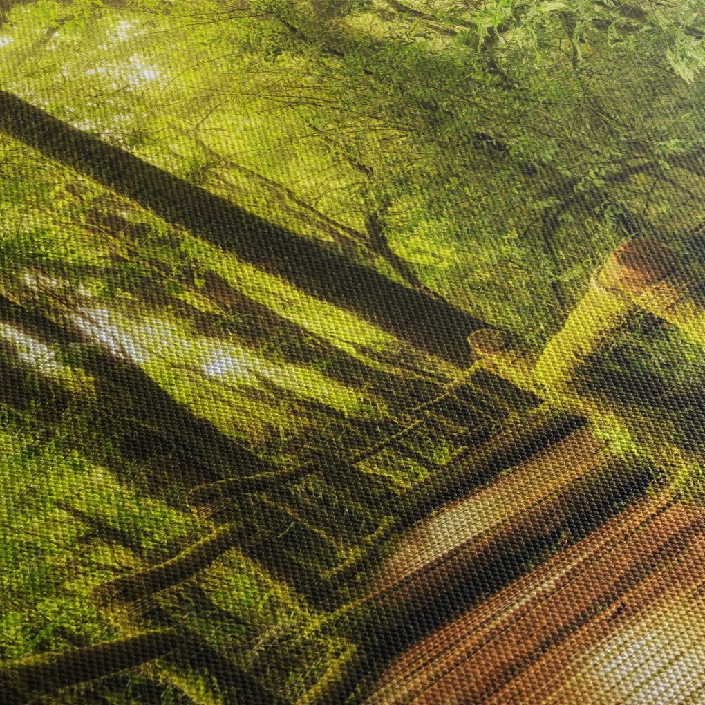 Tablou junglei cu mușchi (120x50 cm)