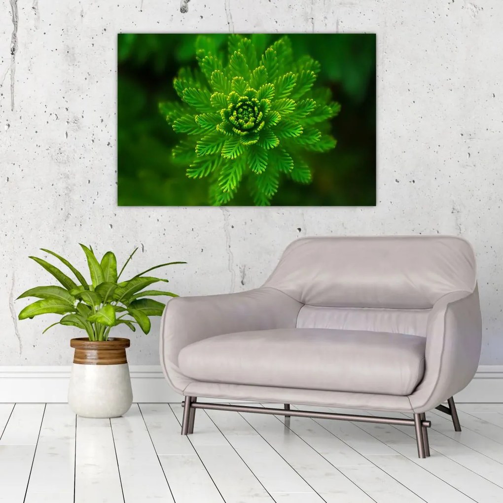Tablou cu coniferi (90x60 cm)