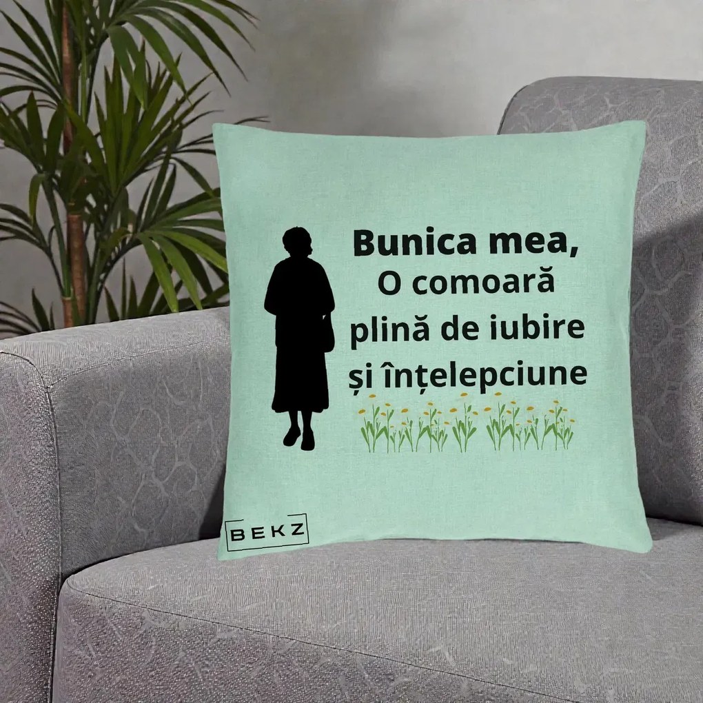 Cadou pentru Bunica - Perna Personalizata Bunica Mea Comoara Iubire Intelepciune Silueta cu Nepoata, 40x40 cm, Verde Menta, Husa Detasabila, Perna Inclusa, BEKZ®