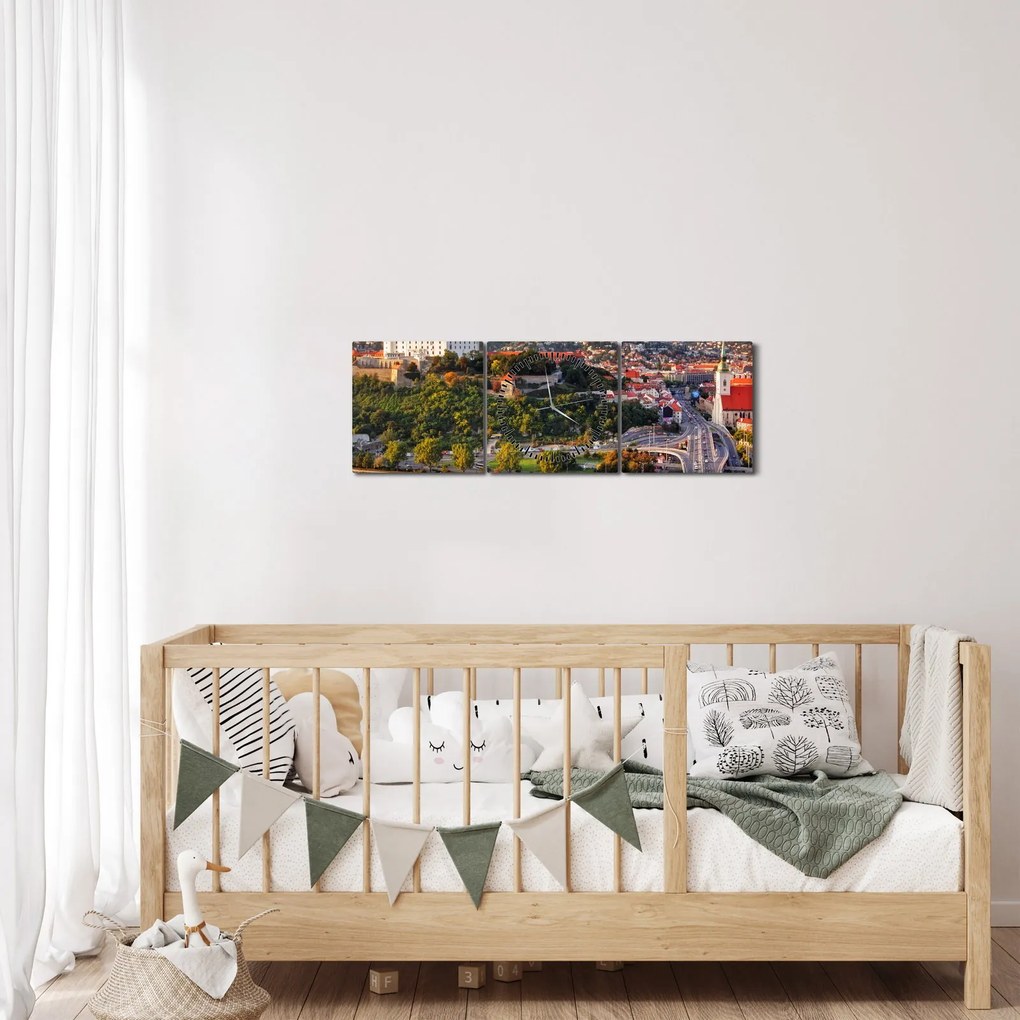 Tablou - Panorama bratislavei, Slovacia (cu ceas) (90x30 cm)