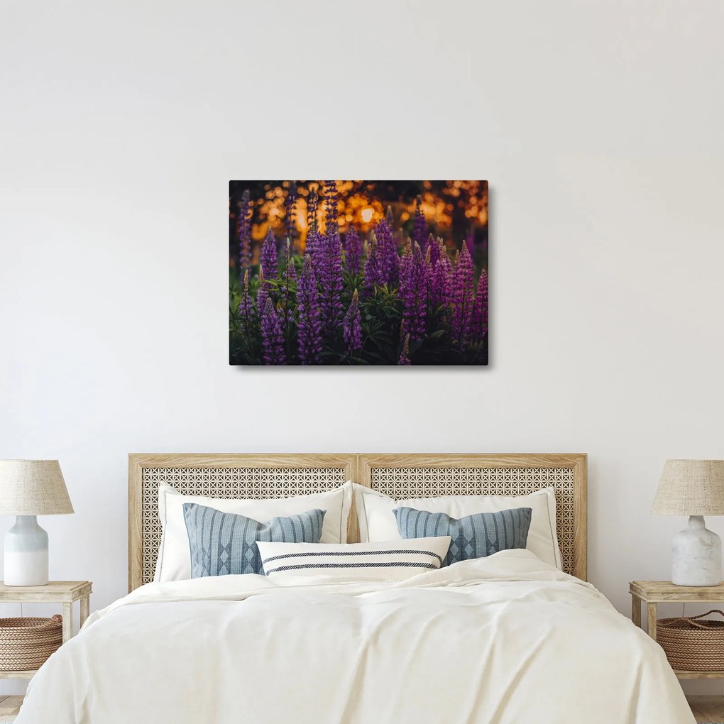 Tablou - Flori de lupin (70x50 cm)