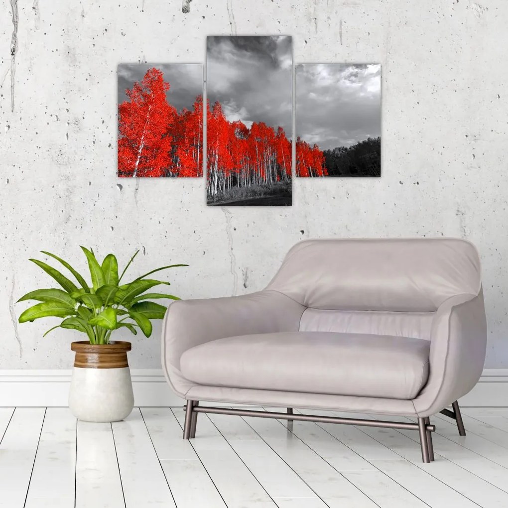 Tablou - Copaci în culorile toamnei (90x60 cm)
