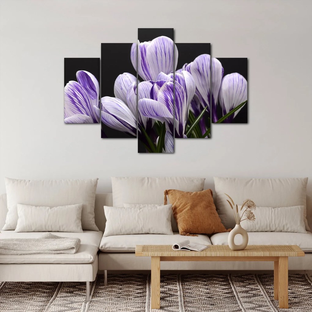 Tablou - Crocus violet (150x105 cm)