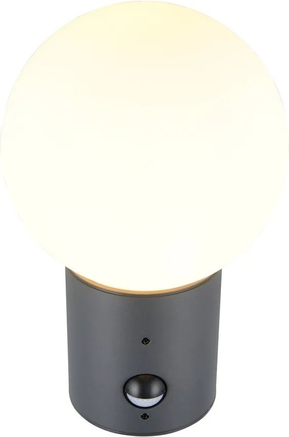 Corp de iluminat pentru exterior de perete cu senzor de mișcare ø 18 cm Mures – Trio