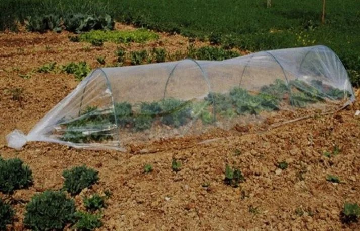 Solar tip tunel 0,5x6m Garden