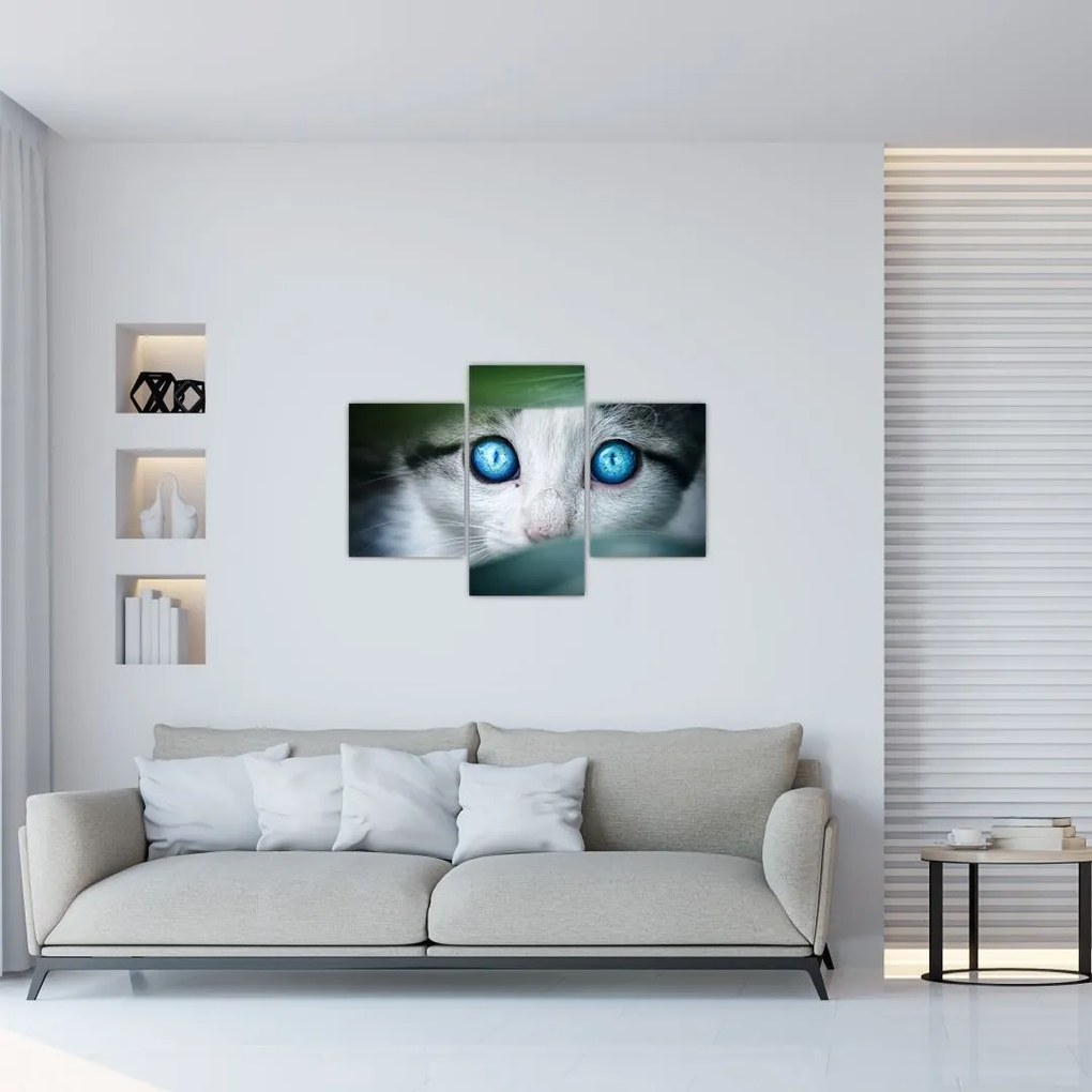 Tablou cu pisica (90x60 cm)